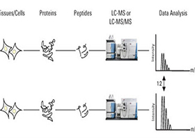 Label free定量蛋白质组学