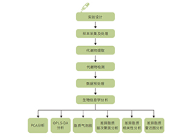 脂质组学