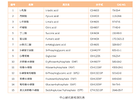 中心碳代谢靶向分析