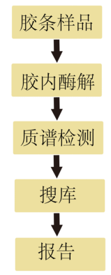 蛋白混合物鉴定