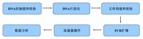 宏基因组测序
