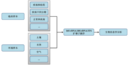 16S/18S/ITS扩增子测序