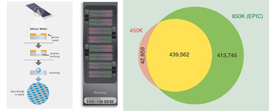 Illumina 甲基化芯片（850···